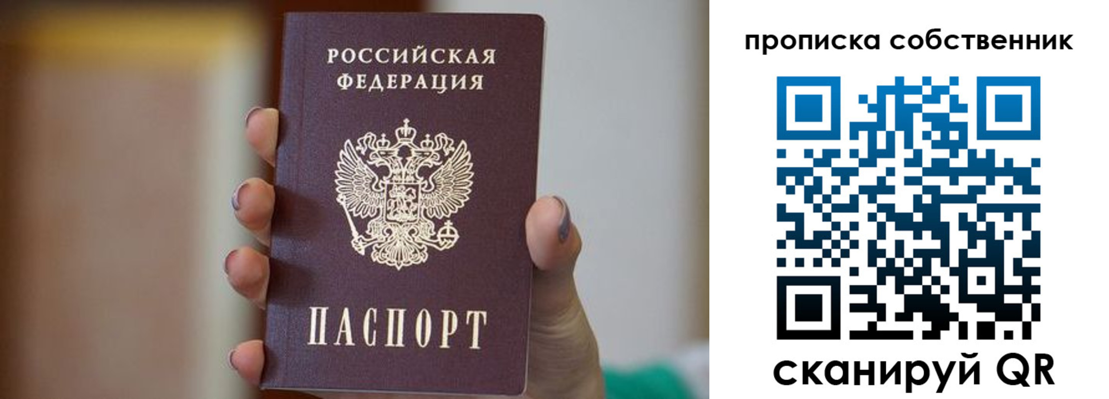 прописка поиск в Кирсанове